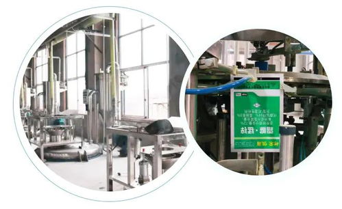 智能驅(qū)動(dòng)，水務(wù)革新 重慶樹(shù)榮長(zhǎng)壽區(qū)無(wú)人化新工廠(chǎng)正式投產(chǎn)